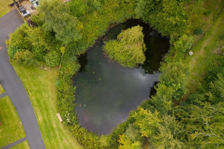 DJI 20240724134952 0103 D